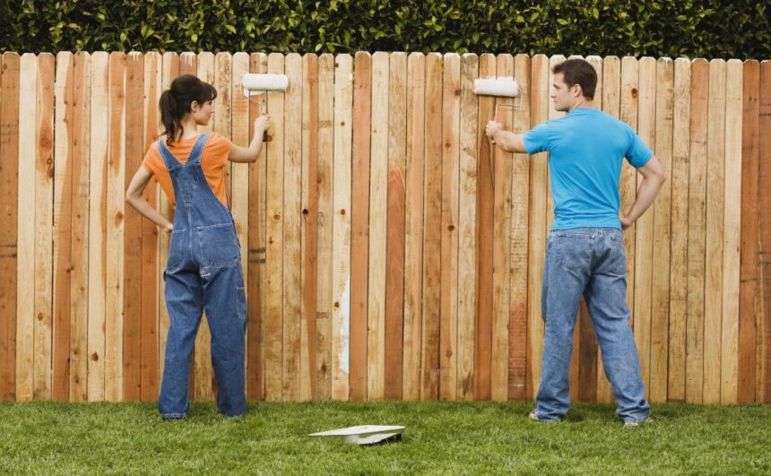 Как и чем покрасить забор?