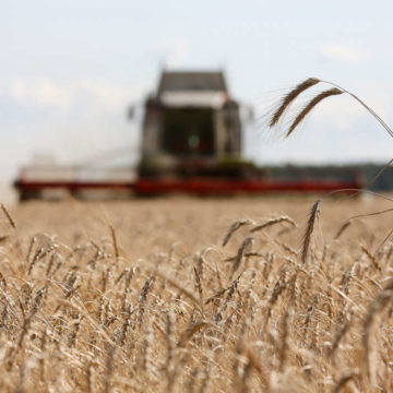 Bumper-Russian-Crops-Overshadow-Wheat-Export-Tax-as-Prices-Slide.-Bloomberg Российский экспорт пшеницы в текущем году вырос на 270% и составил 676 тыс. тонн