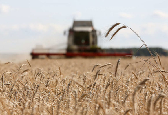 Bumper-Russian-Crops-Overshadow-Wheat-Export-Tax-as-Prices-Slide.-Bloomberg Российский экспорт пшеницы в текущем году вырос на 270% и составил 676 тыс. тонн