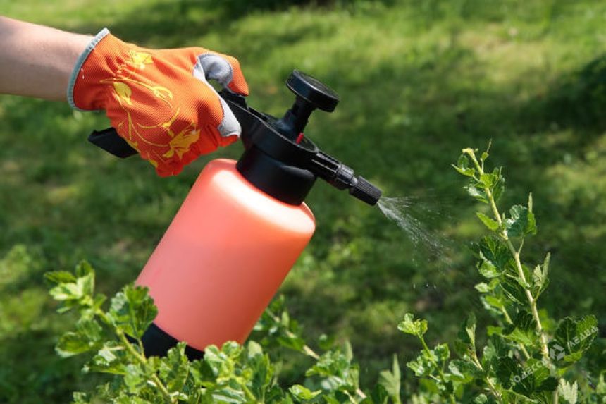 средства для защиты растений Современные средства защиты посевных растений