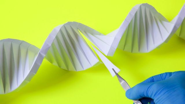 Как генетические ошибки могут изменить человека