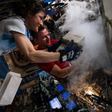 Зачем астронавты печатают человеческие органы на орбите