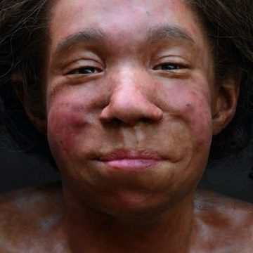 Какой была жизнь детей неандертальцев