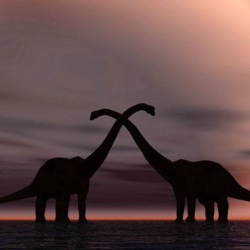 Как динозавры занимались сексом