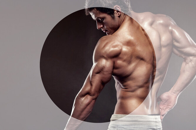 d789f5a7aa5d2b8e1a530d6c4bb1f255 Тренировка с гантелями из 4 упражнений для больших и сильных трицепсов