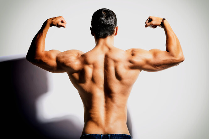 Почему так важно тренировать широчайшие мышцы спины?