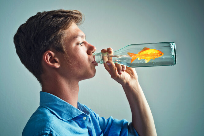 6e14d593aef057b9a4f366376b844a1b Почему нельзя пить морскую воду?