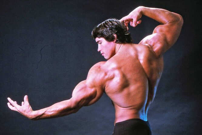 Как натренировать спину как у Шварценеггера: 4 секрета по тренировке от Арни