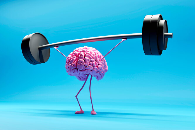 Как фитнес делает нас умнее: найдена связь между упражнениями и работой мозга