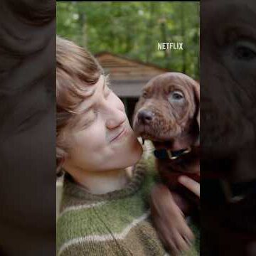 Анонс Скуби-Ду #netflix
