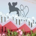 Состав Венецианского кинофестиваля 2026