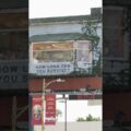 Подожди… скажи мне, что это не настоящий человек?? #ПоследнийДом
